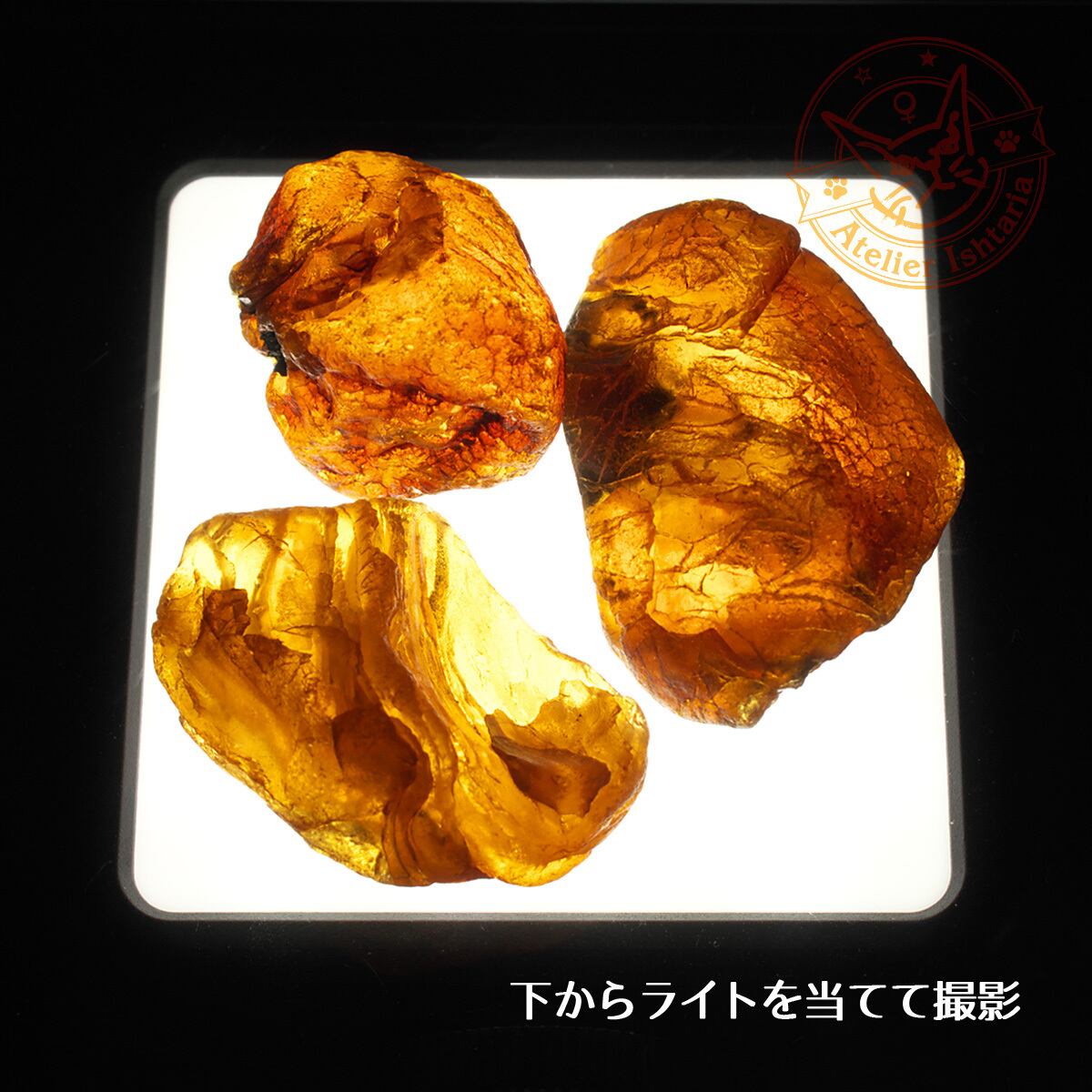 ランダム発送】バルティックアンバー原石 B-2【ポーランド産】／琥珀