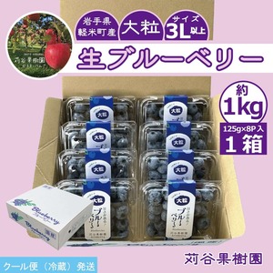 〈予約販売〉〈１箱１口〉【数量/期間限定】苅谷果樹園　生ブルーベリー約1kg（125g×8パック、3L以上）