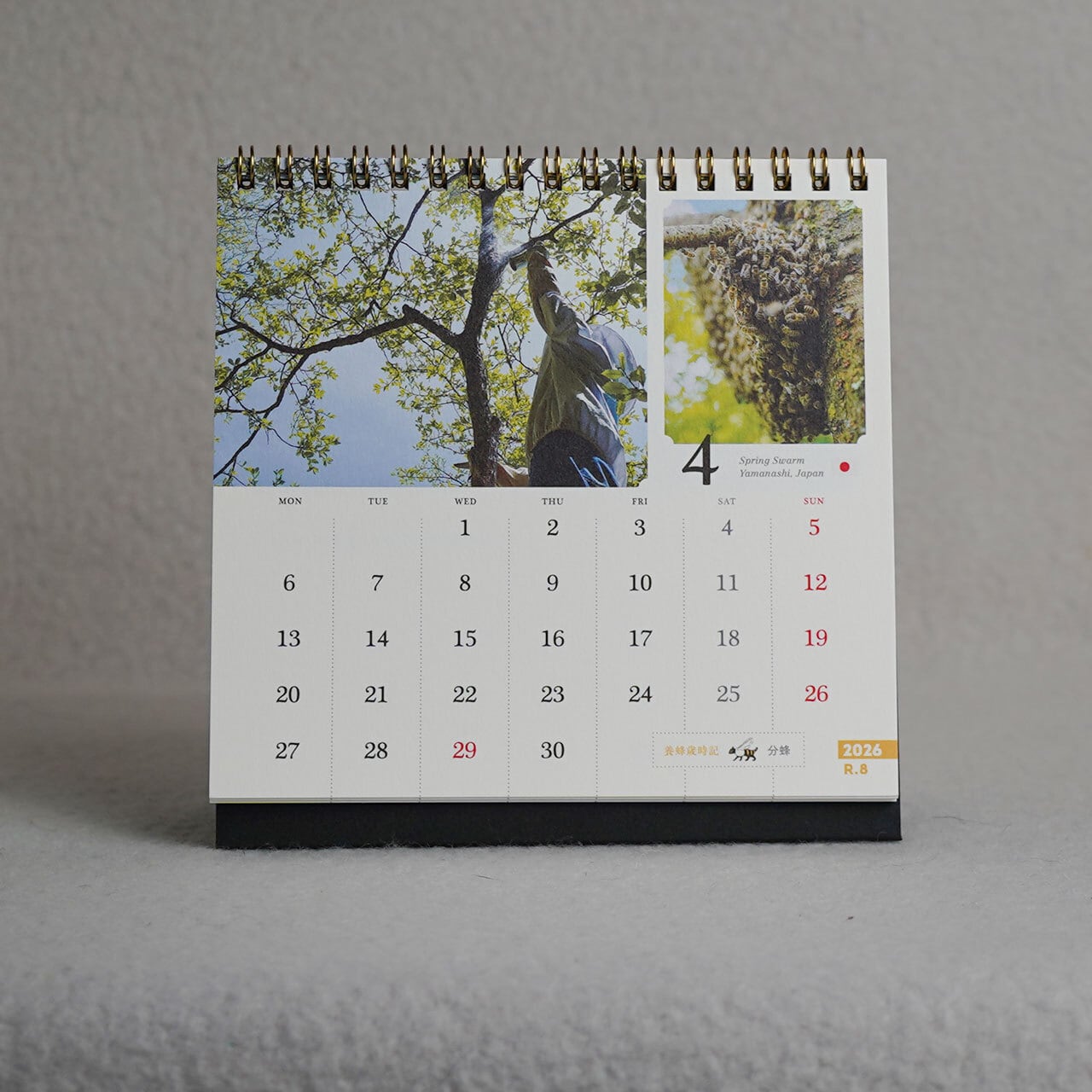 2026 コンパクト作品集 2026 コンパクト作品集 - メルカリ