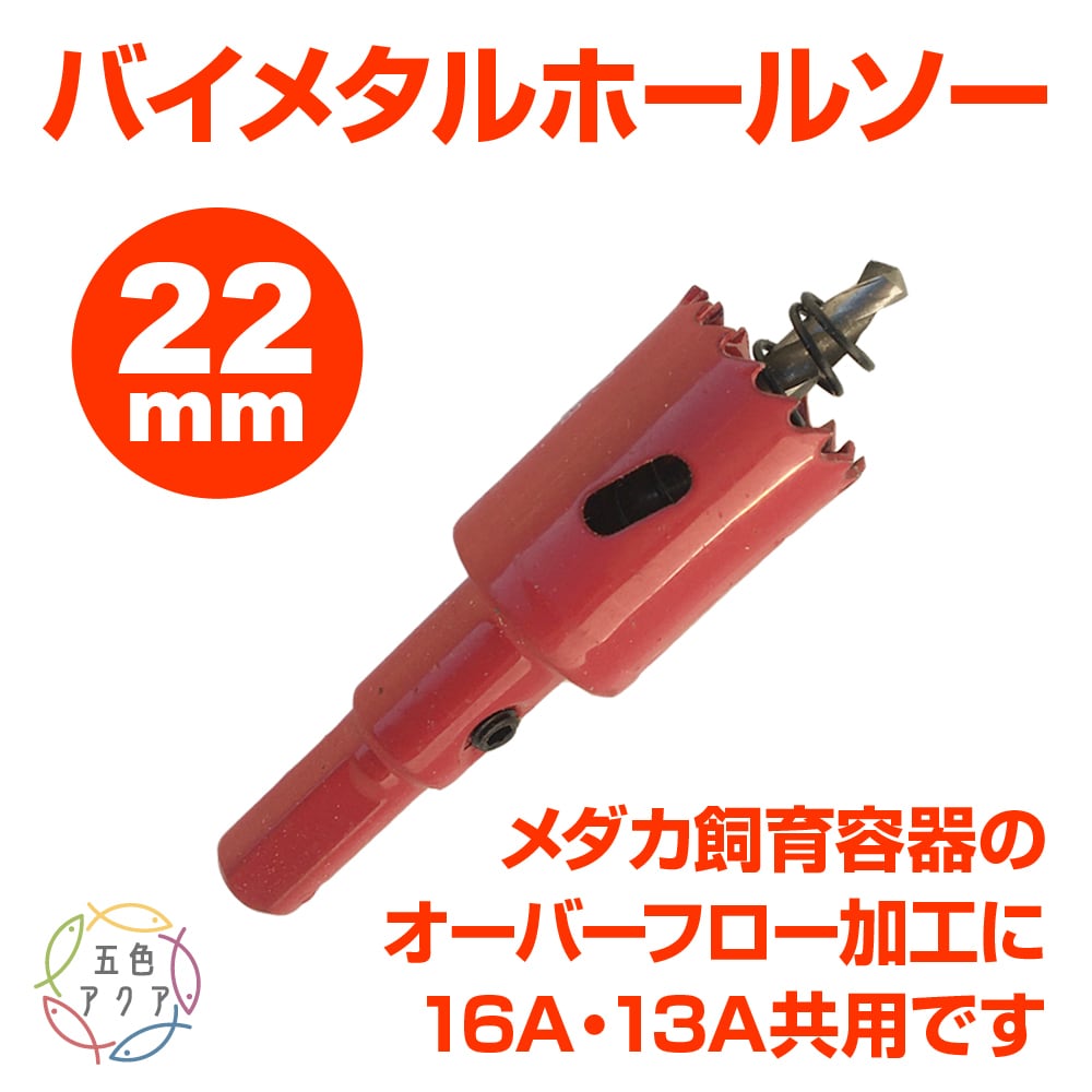 五色アクア BASE店