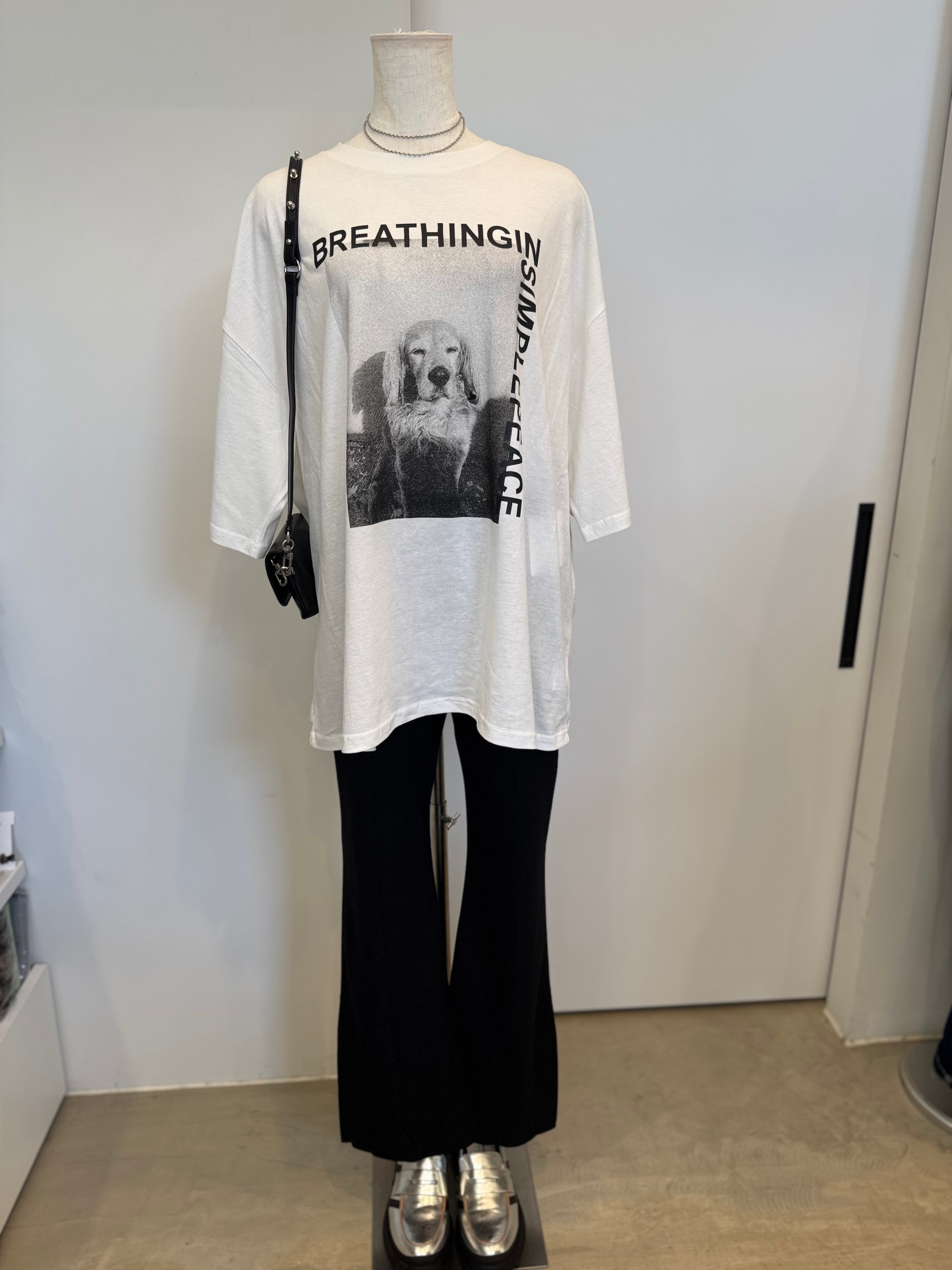 【CHIGNON】アニマルフォト”DOG”Tee 8461-100KK