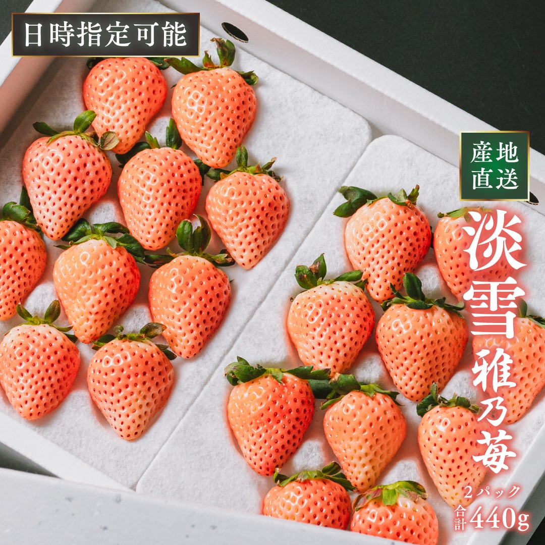 お歳暮/冬ギフト】雅乃苺 淡雪 400g 熊本県産 高級 白いちご 希少な淡