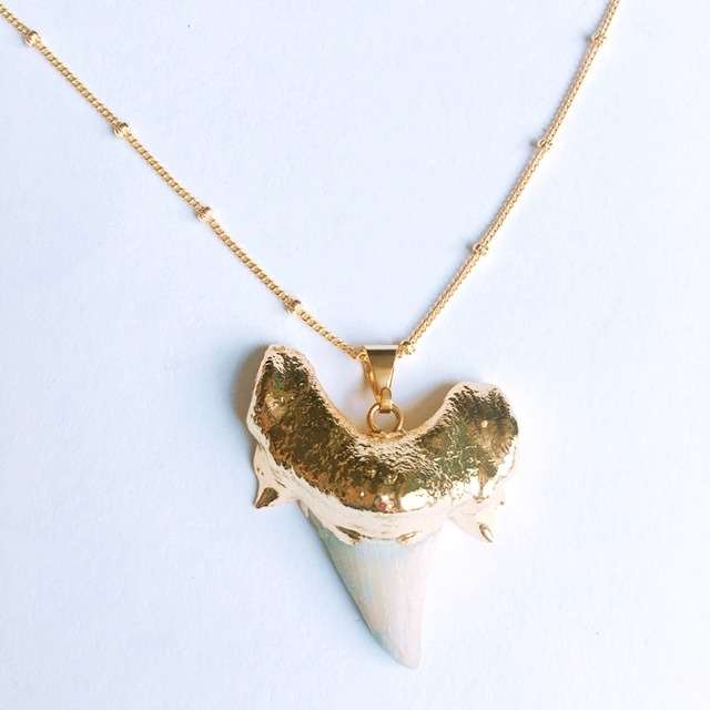 shark tooth ネックレス☆シャークトゥース☆サメの歯 幸運 魔除け  