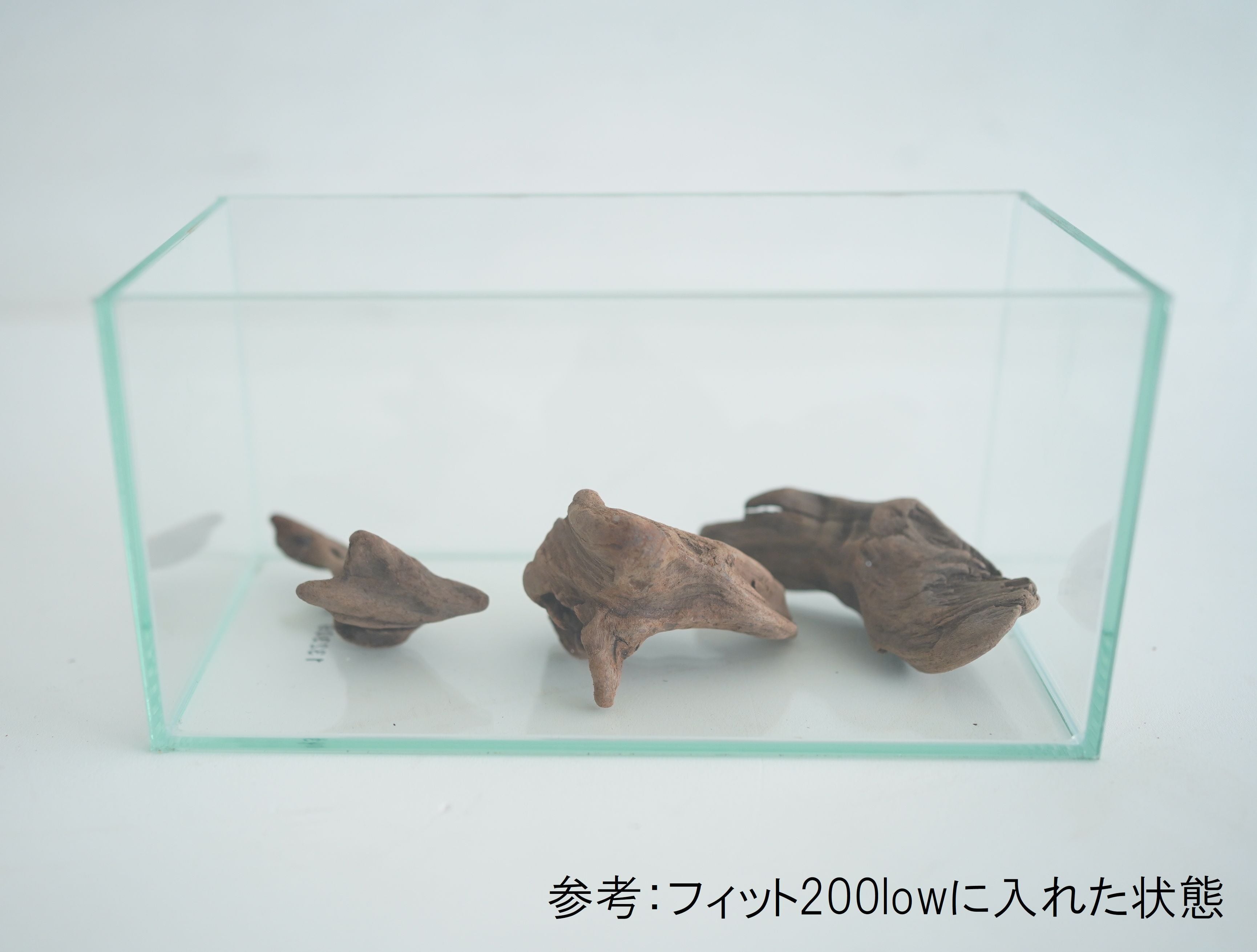 テラリウム用マングローブ系流木【プチサイズ3個入り】◇形状お任せ