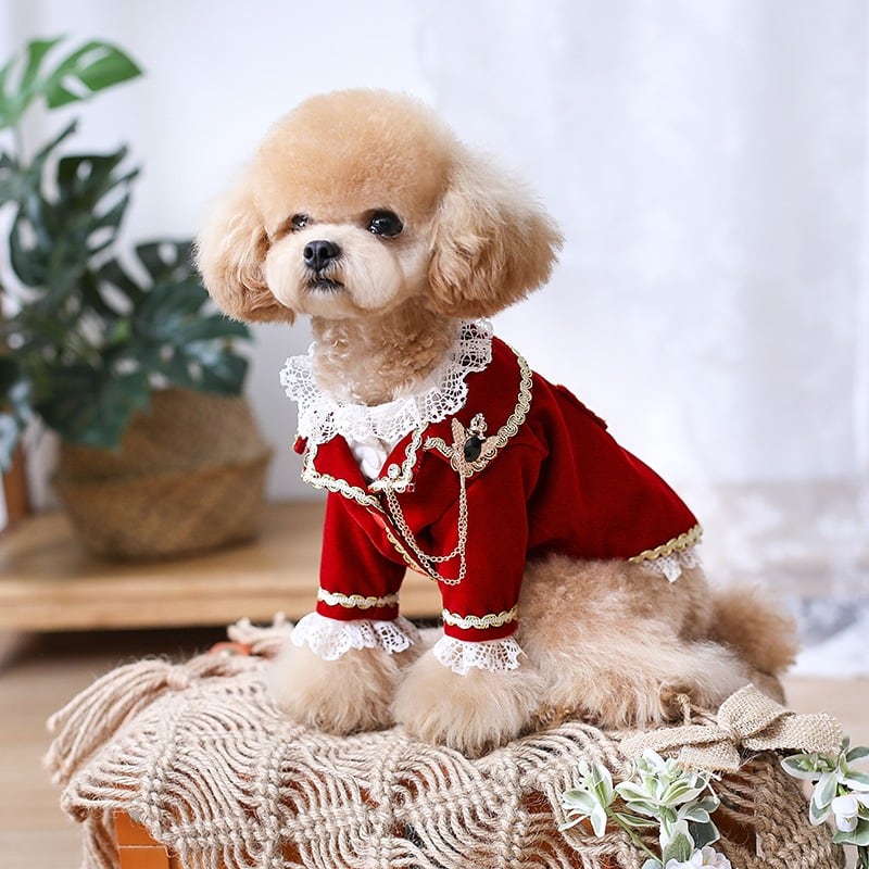 大型犬OK 貴族気分のレッドタキシード 結婚式 リングドッグ | おむのおうち