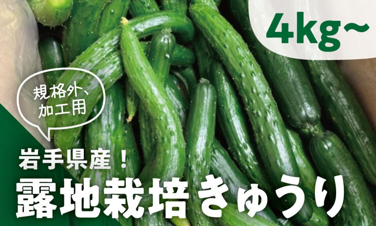 【ご自宅用に♪】岩手県産！「露地栽培きゅうり」約4kg～