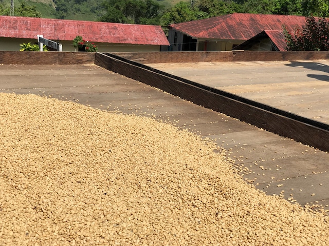 蜜の土　珈琲豆100g