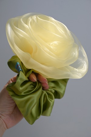 mimicry－chouchouー