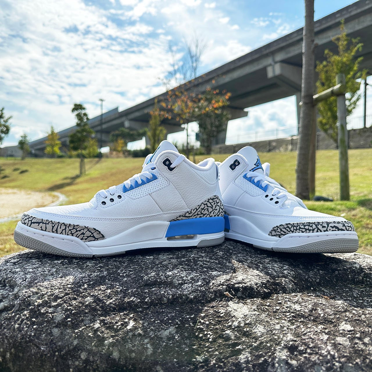 Nike Air Jordan 3 Retro 