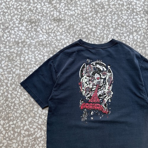 NHS / 90's- SANTA CRUZ Rob Roskopp Tee size L カラータグ