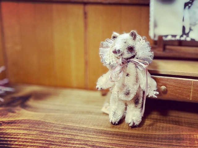 『Antique-Like』/Evelin