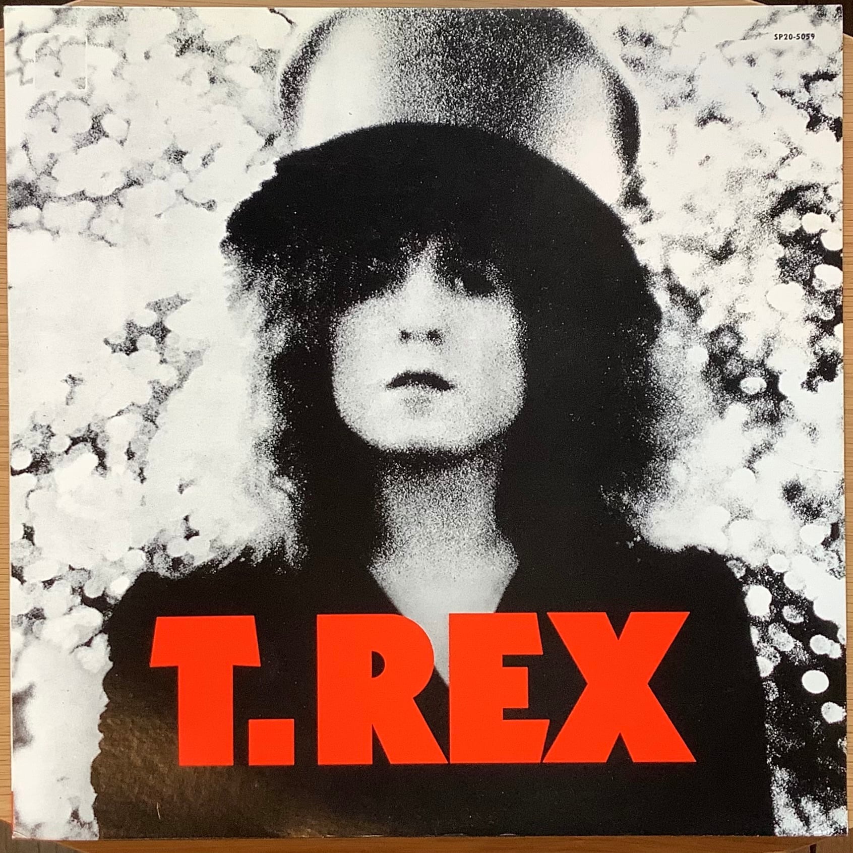 ザ・グリード('98米) 廃盤❗️美品❗️ T.REX / THE SLIDER | Plastic Soul Records
