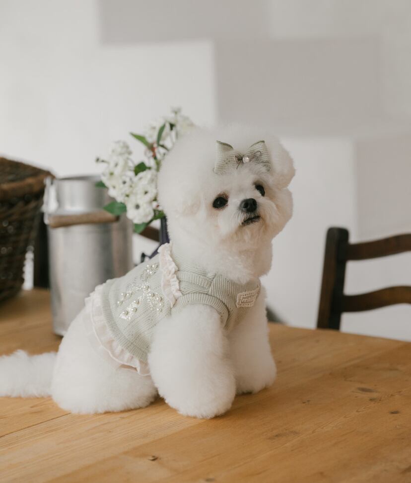 予約【malrang】maracon knit top (MatchaLatte)