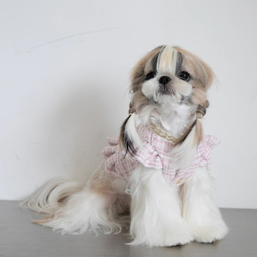 ペット用】大型犬用冬用プレミアム厚手可愛いチェック柄ボアジャケット