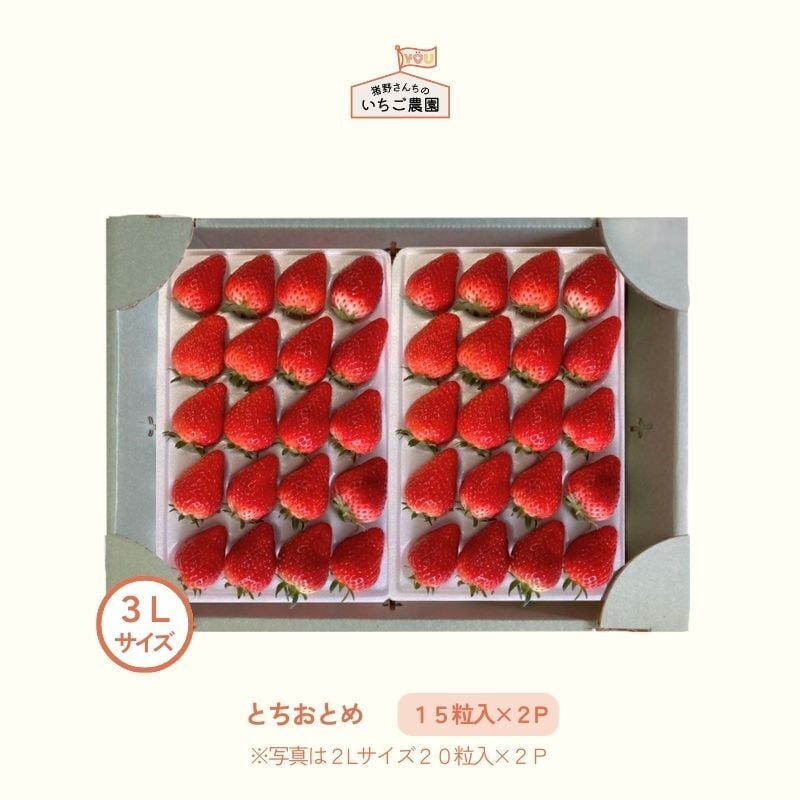 猪野さんちのいちご農園｜産直通販「あるよ」応援プロジェクト