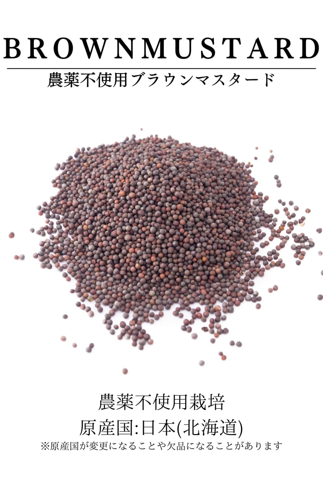 ブラウン マスタード 500g 業務用 【 農薬不使用栽培／日本(北海道)産
