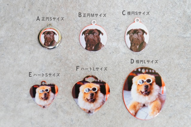 カスタムオーダーペット用ネームタグ C(楕円/Sサイズ/23x29/楕円29)/迷子札/キーチャーム/バッグチャーム/フォトプリント