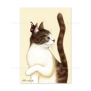 14.子猫とカブトムシ ポストカード / Kitten and Beetle Postcard