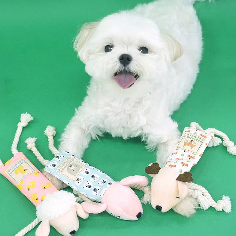 pattern design toy 3color / ペット 犬 おもちゃ 噛む カシャカシャ ロープ 知育玩具 可愛い わんちゃん おもちゃ ストレス解消 韓国 ペット用品 小型犬 中型犬