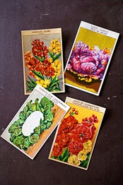 20s フランス 4set 膨満な花々と野菜たち 種子袋用ラベルh アンティーク