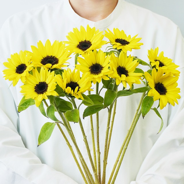 花を自宅に飾る | よいはな (yoihana) | 最高品質のお花をお届けする 