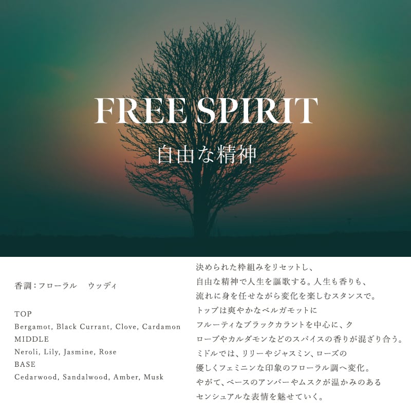 マインドフル ハンドウォッシュ FREE SPIRIT 480ml ［ SINN PURETE