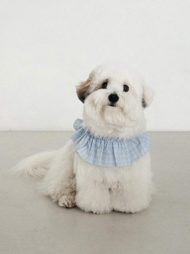L/即納【OHDIBS】capeness no.17 _ Babyblue check