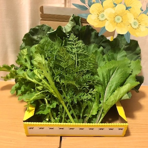 ＜不定期便・3/20（金・祝）収穫・発送＞【小さいサイズ】季節のお野菜セット