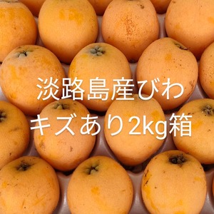 訳あり！淡路島産　びわ3L～2L キズあり　枇杷ビワクール玉葱たまねぎタマネギオニオン代無料