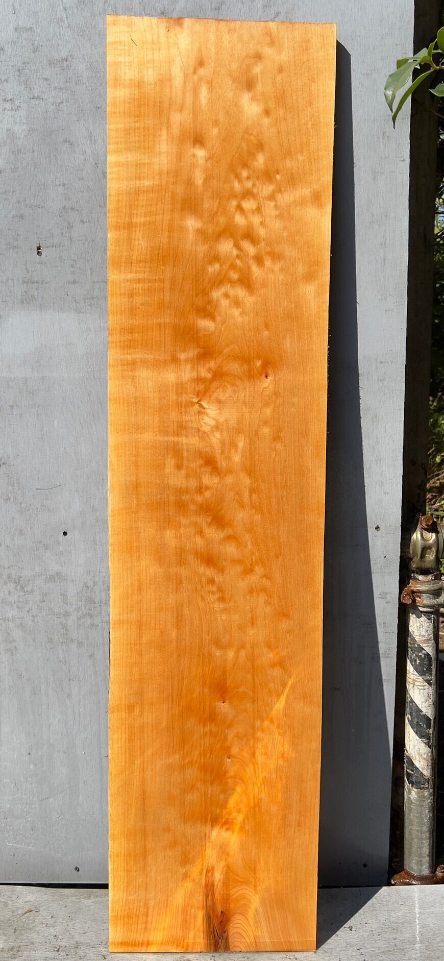 Quilted Maple】キルテッドメイプル | automnforest workshop