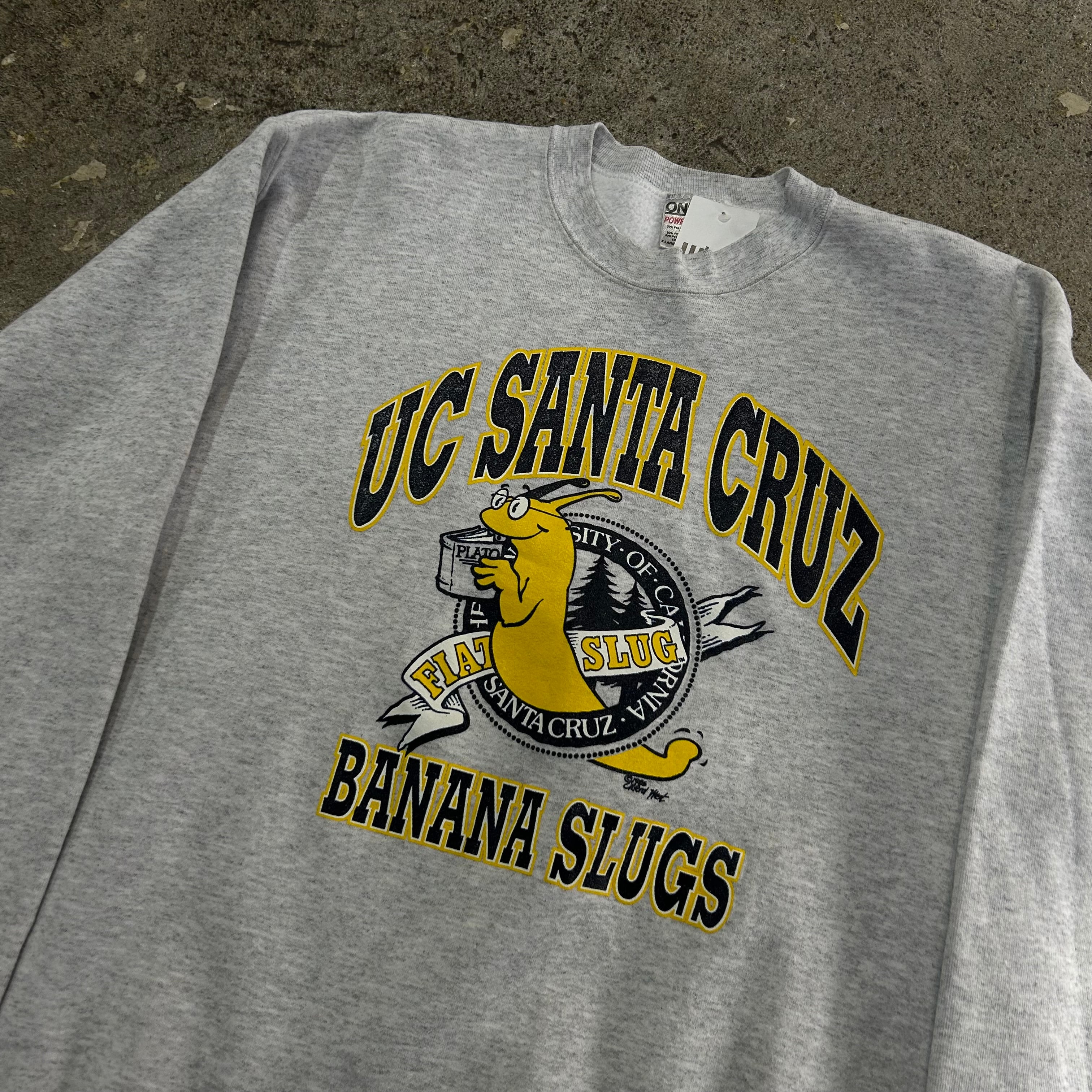 90s UC SANTA CRUZ sweat【仙台店】 | What