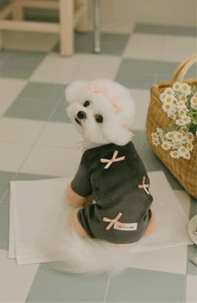 即納【pecoramou select】マリファオールインワン (チャコール)