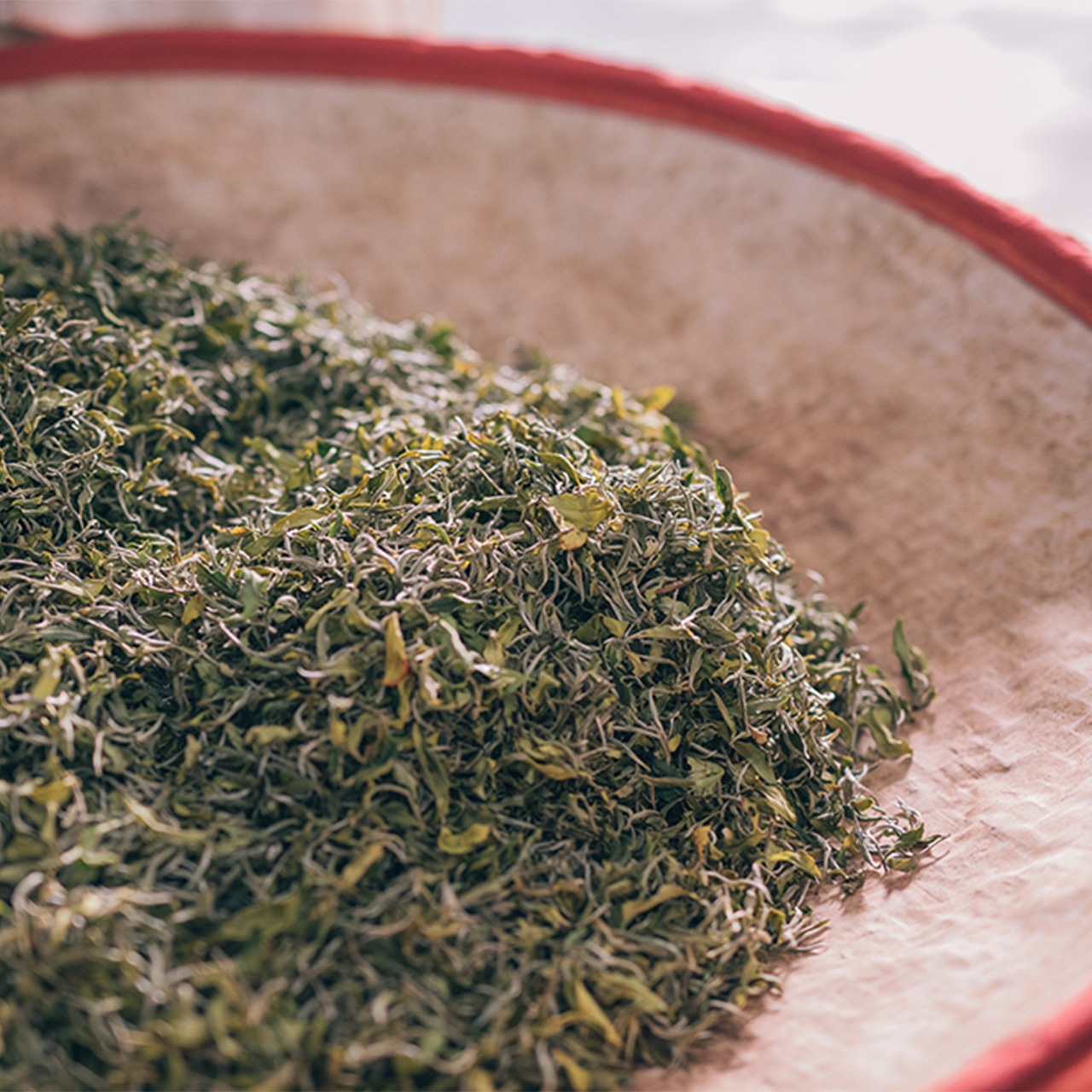 送料無料|ティーバッグ 2P TRIAL (3種類) お試しセット・画像15