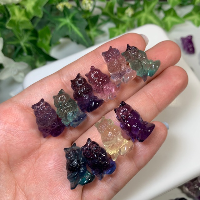 6.可愛い大家族･小さいフローライトふくろう