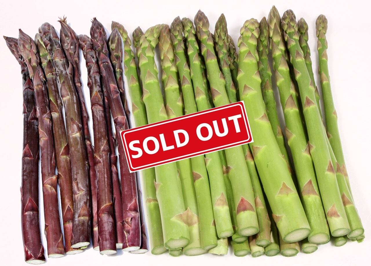 22年販売終了 オーガニック アスパラガスグリーン700g パープル300gセット おいで屋