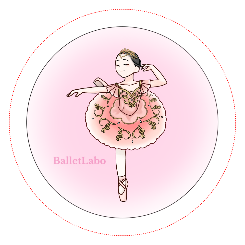 全5点 セット Chacott チャコット チュチュ ロマンティックチュチュ