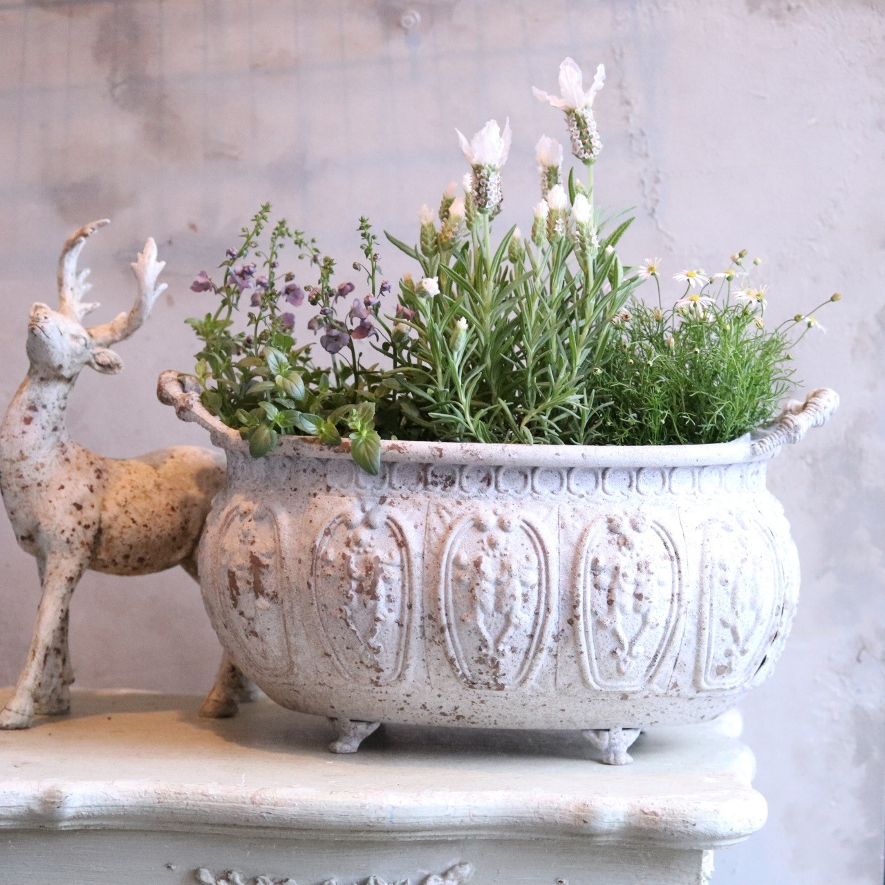 mondimanche 植木鉢　アンティークデコレオーバルMW｜シャビーシック　寄せ植えして飾ると素敵なガーデンになる　UF574