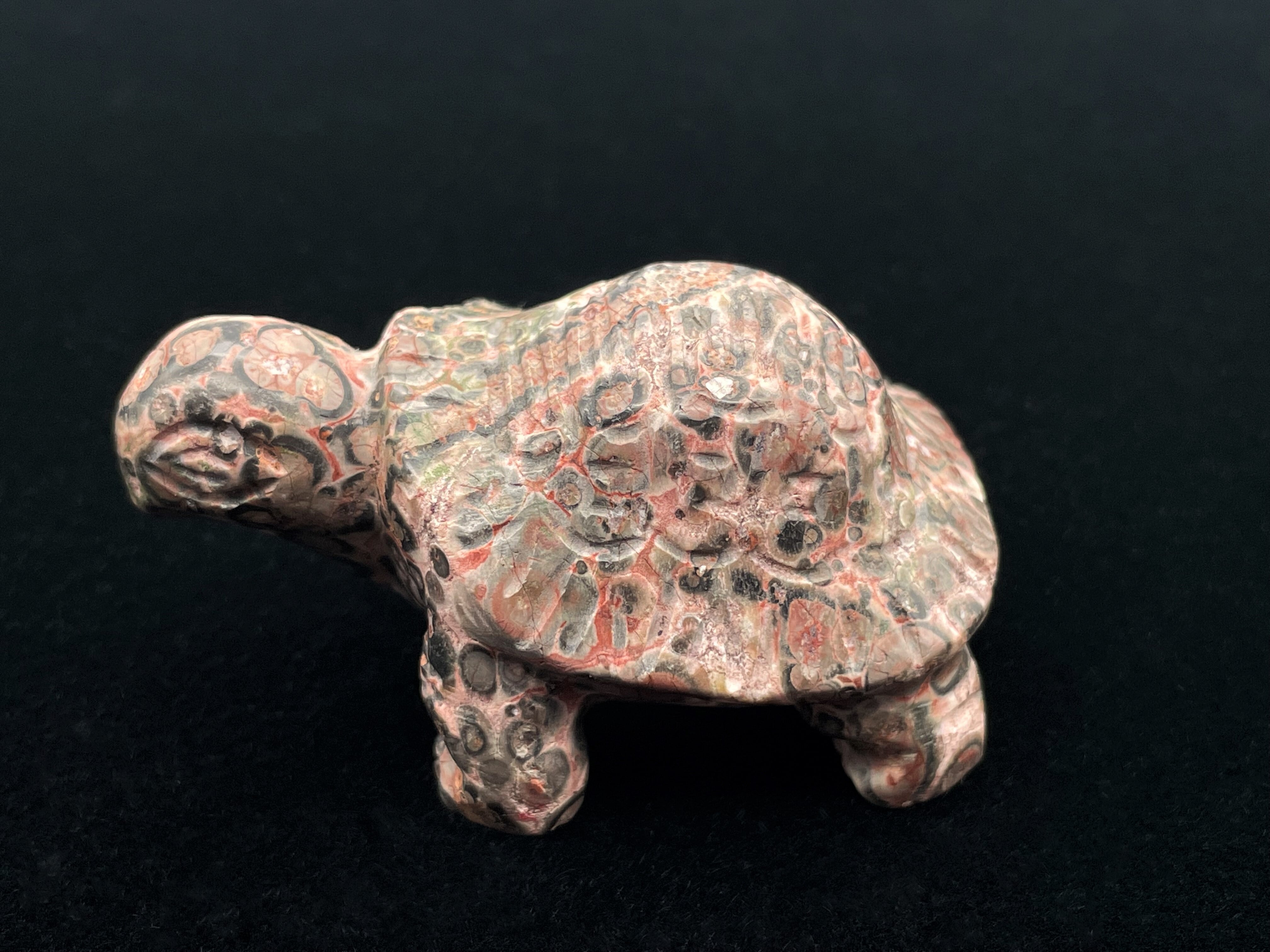 亀型（シトリン） 亀型（シトリン） | DantaliaN