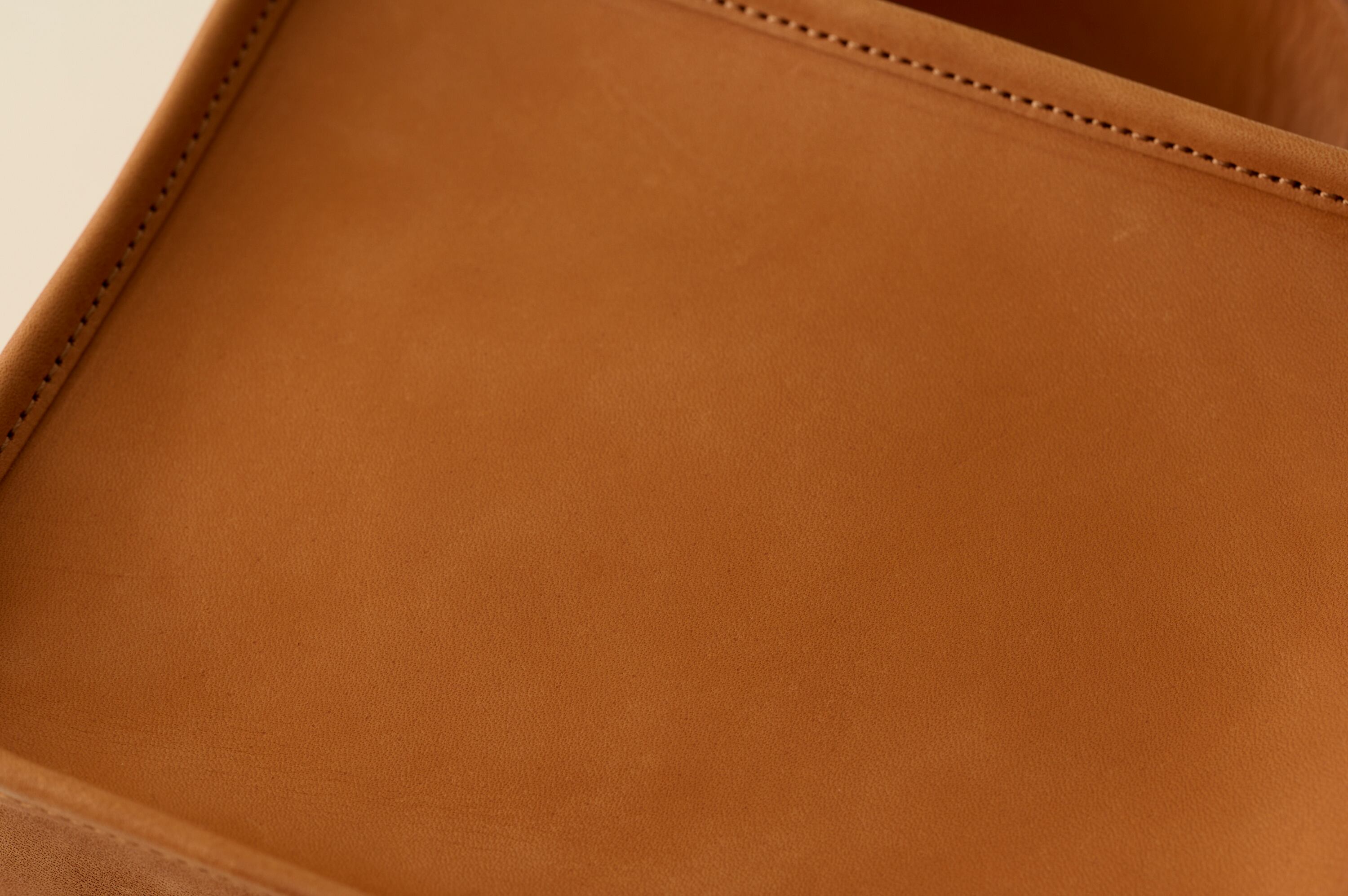 LIMITED】Camel Leather Mini Book Bag -EARTH LEATHER- | LIFESTYLIST