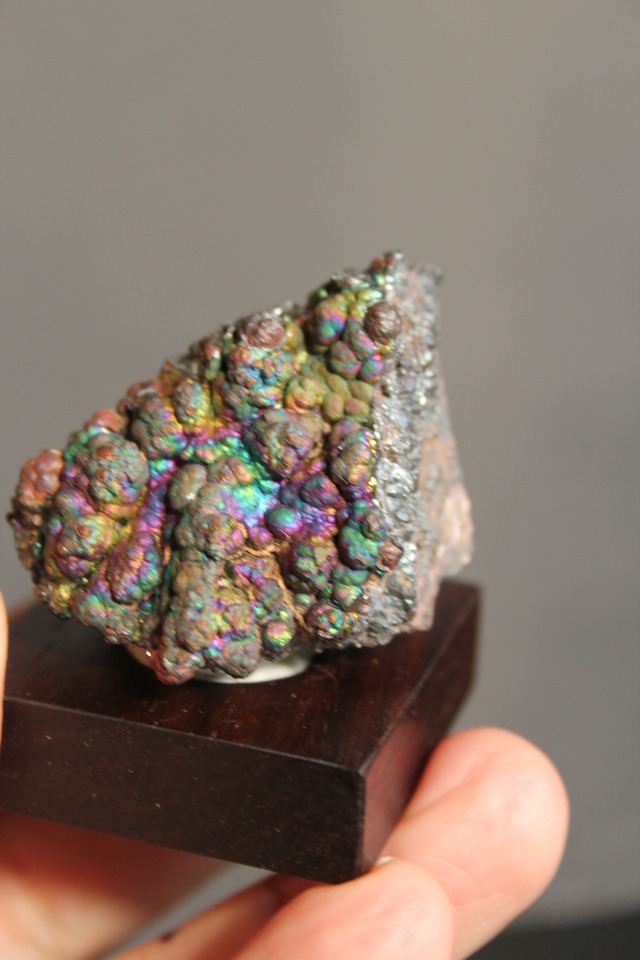 【5103】宮崎レインボー ローズウッドベース大