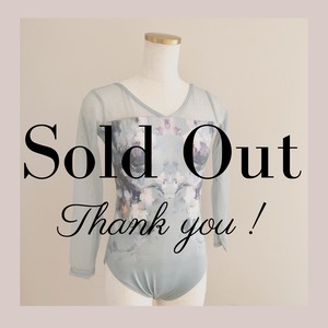 Peinture パンテュール ロングスリーブ バレエレオタード