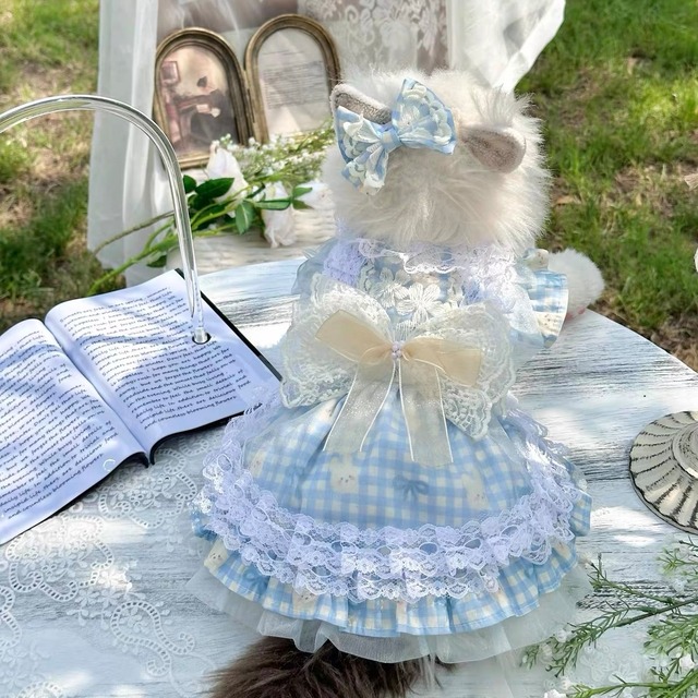 bluebell lace dress