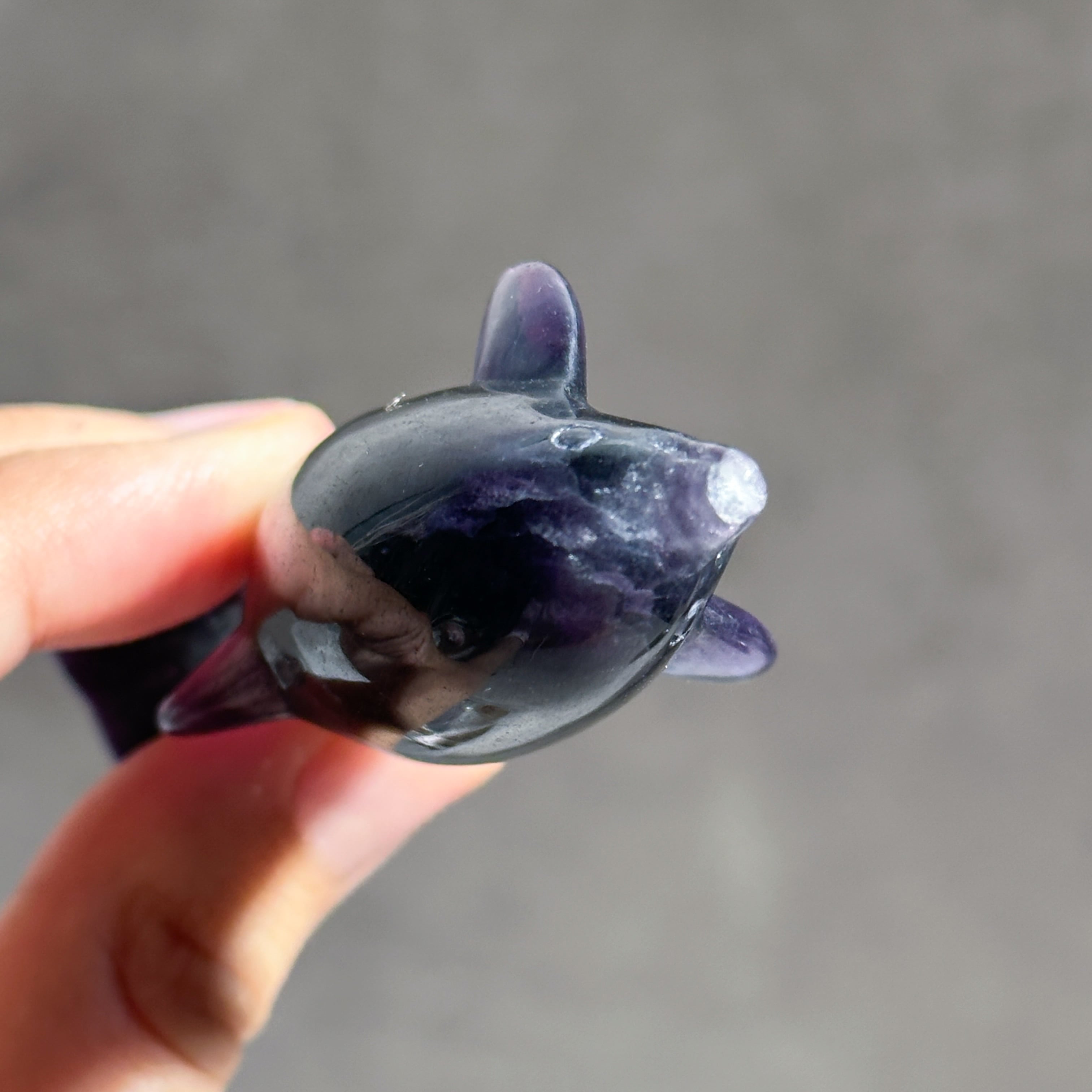 レインボーフローライト イルカ51◇ Fluorite ◇天然石