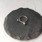 行く秋‐yukuaki（SV×GR)　リング