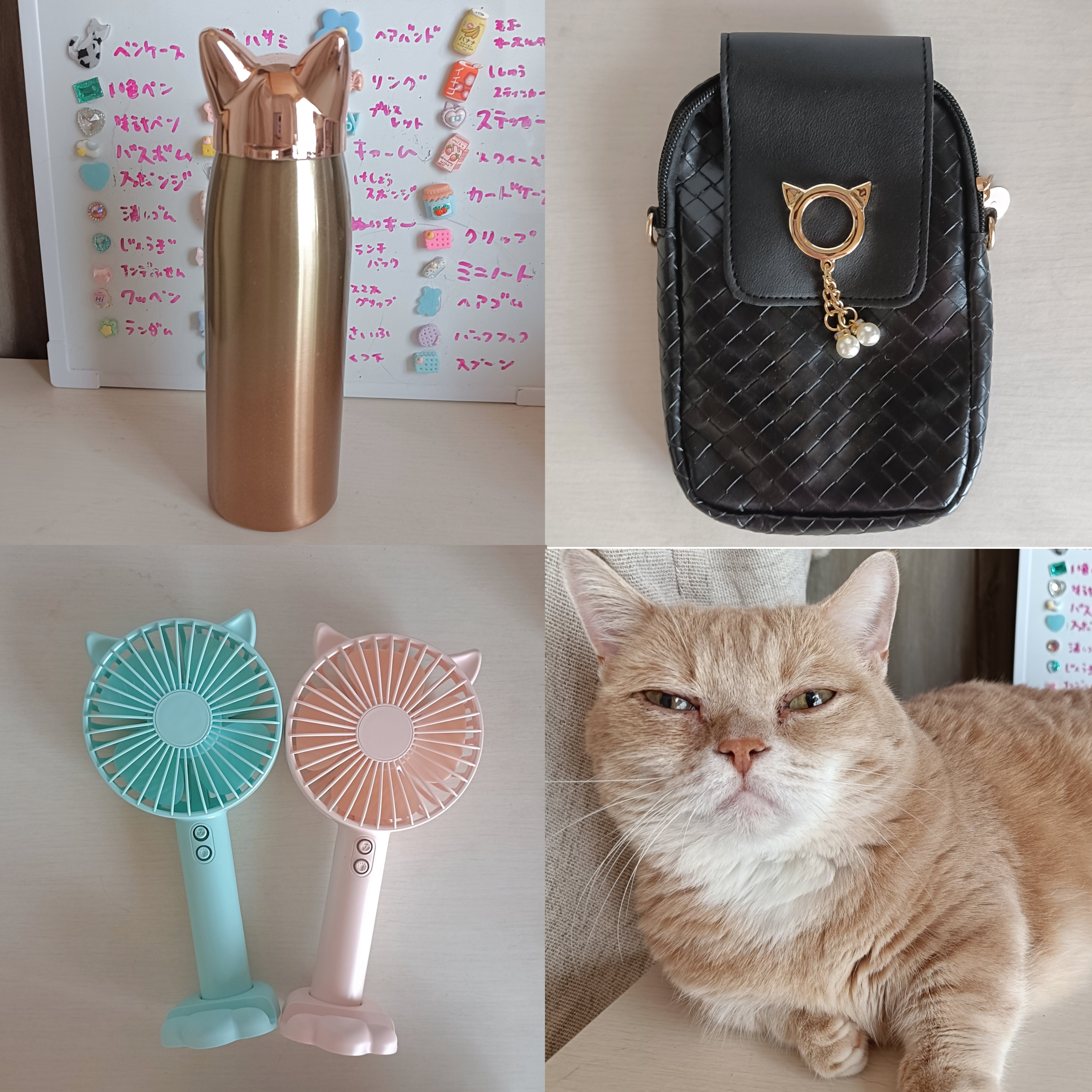 ALL ITEM | 猫さまに染まる