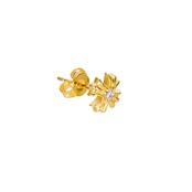 STUDS PIERCE GOLD