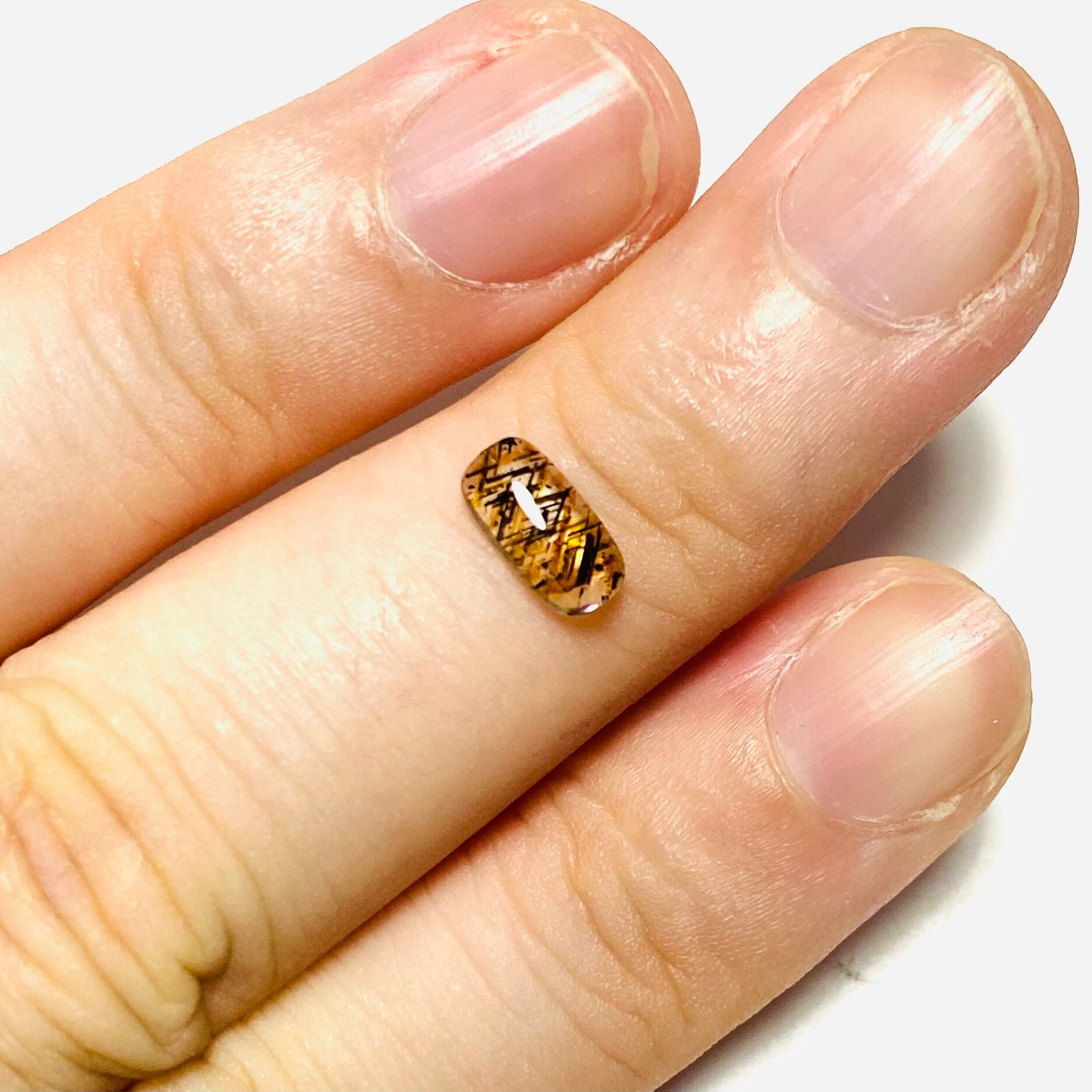 冬支度　レインボーラティスサンストーン