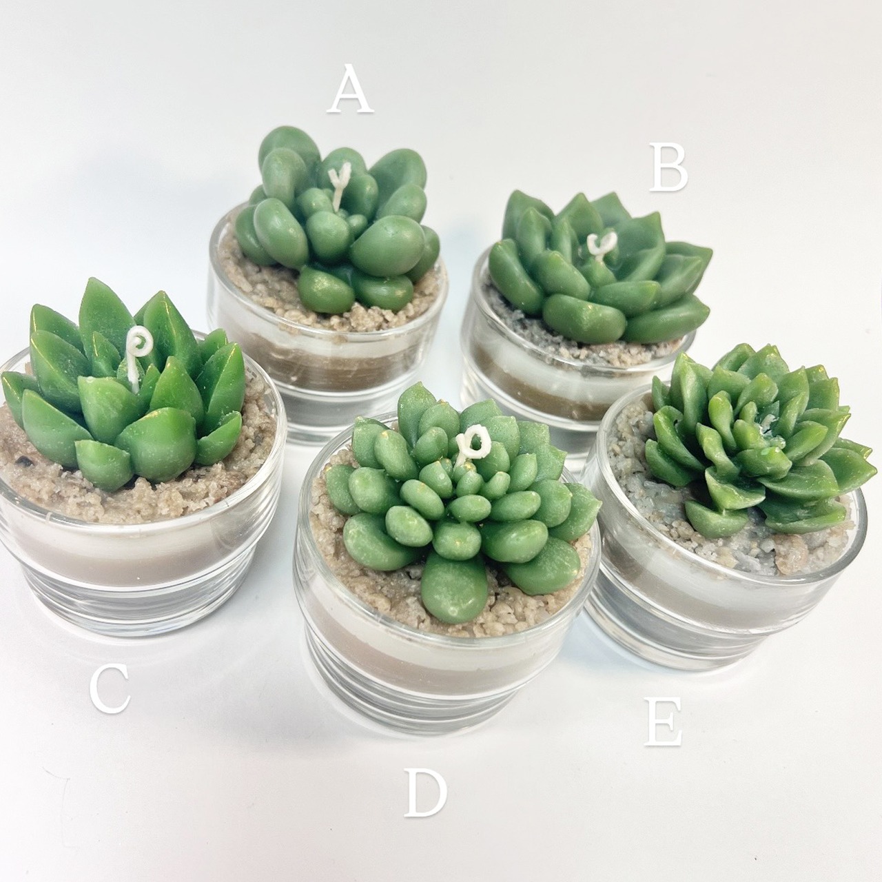 【5種類から選べれます】多肉植物アロマキャンドル