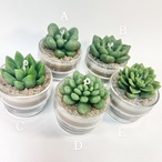 【5種類から選べれます】多肉植物アロマキャンドル