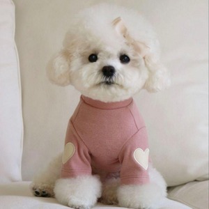 即納販売　Cozy LOVE turtle neck　（pink） 韓国犬服 haul